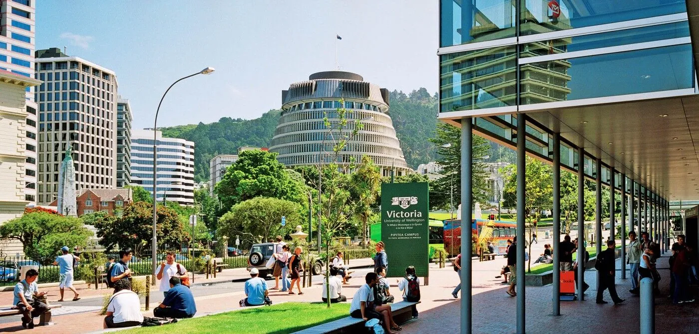 Best course to study in New Zealand for international students Top picks featured image